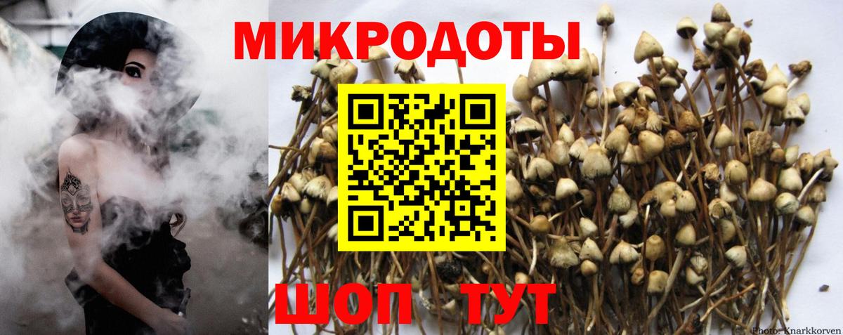 Галлюциногенные грибы MAGIC MUSHROOMS Майкоп